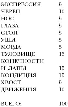 Пекинес. День за днем.