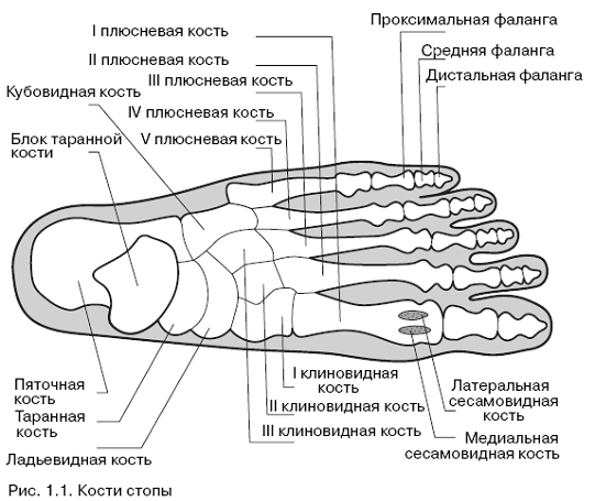 Все о здоровье ваших ног. От младенчества до старости